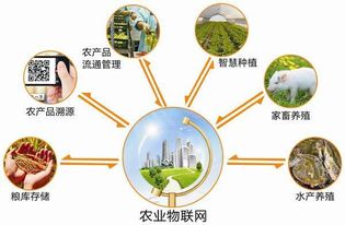 2017安徽農業物聯網展會 推動物聯網技術研發與農業現代化